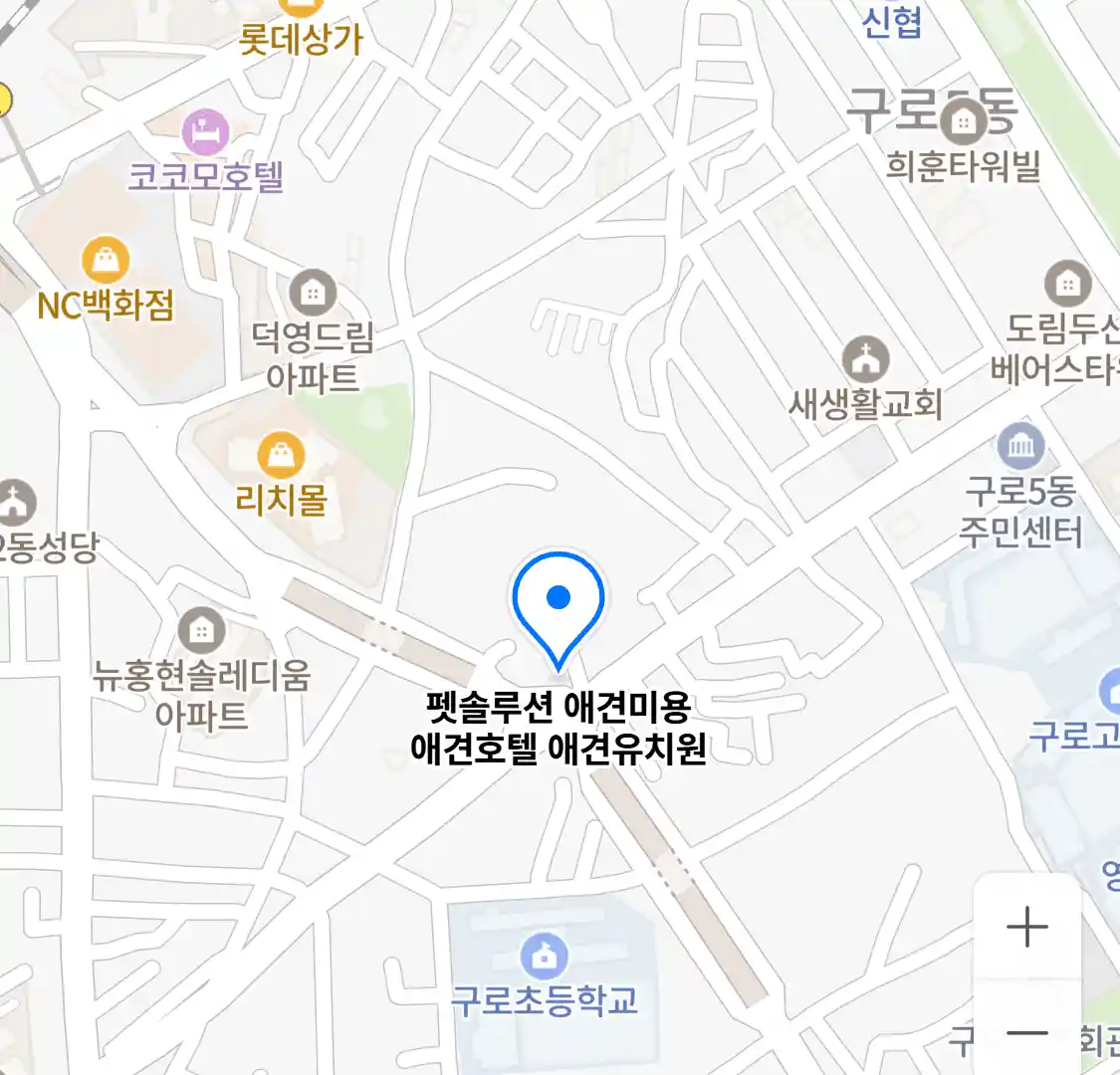 펫솔루션 애견미용 애견호텔 애견유치원 위치