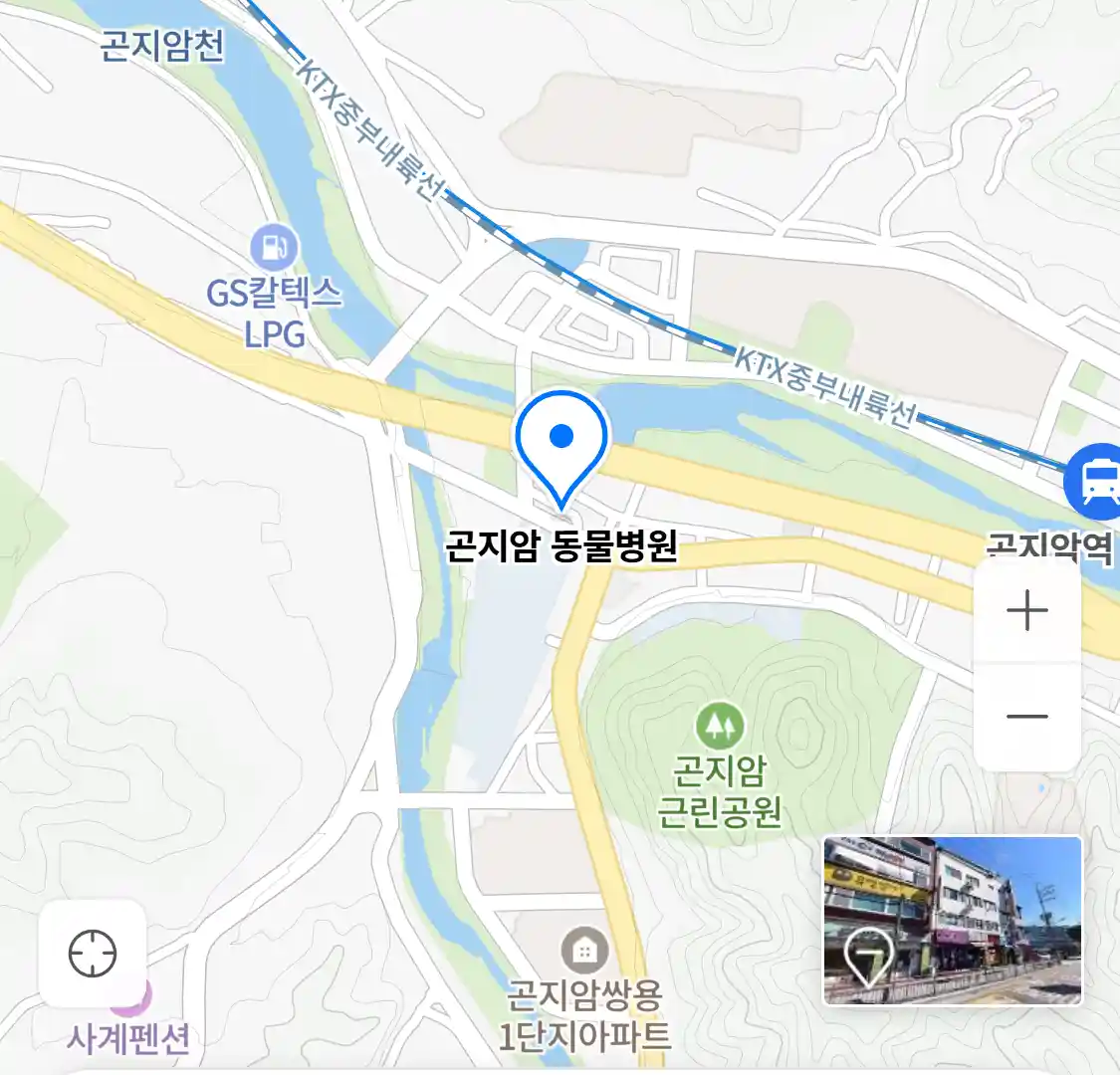 곤지암 동물병원 위치