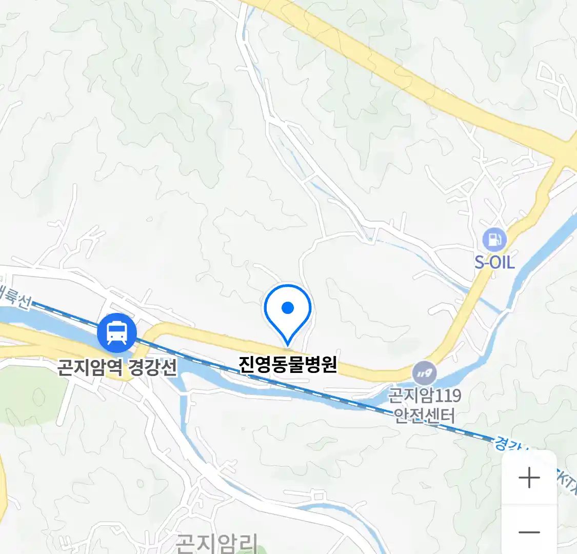 진영동물병원 위치