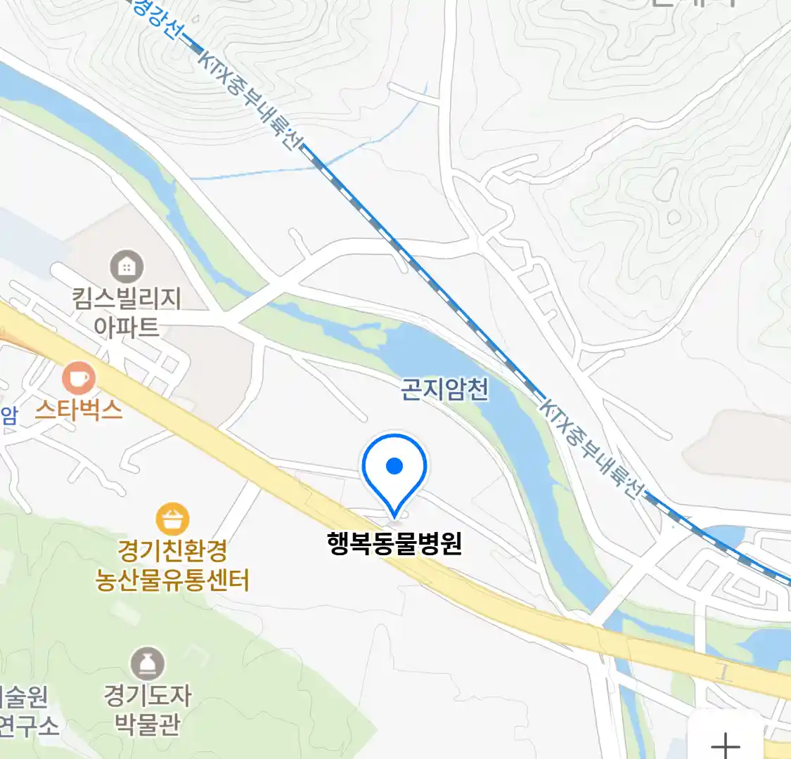 행복동물병원 위치