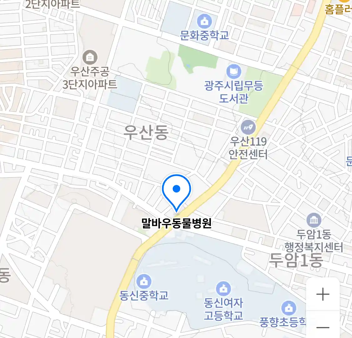 말바우동물병원 위치