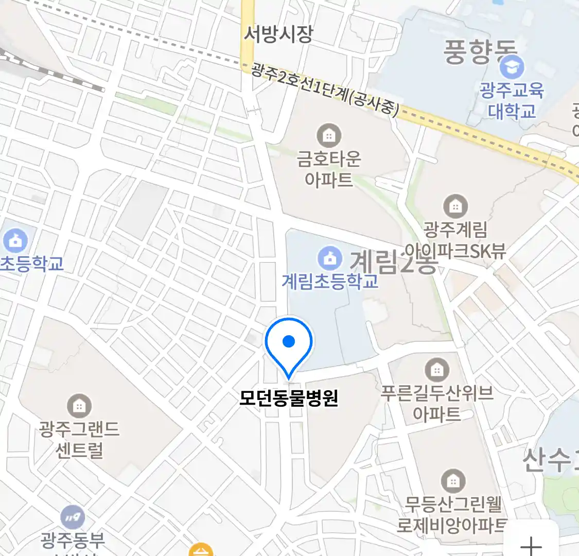 모던동물병원 위치
