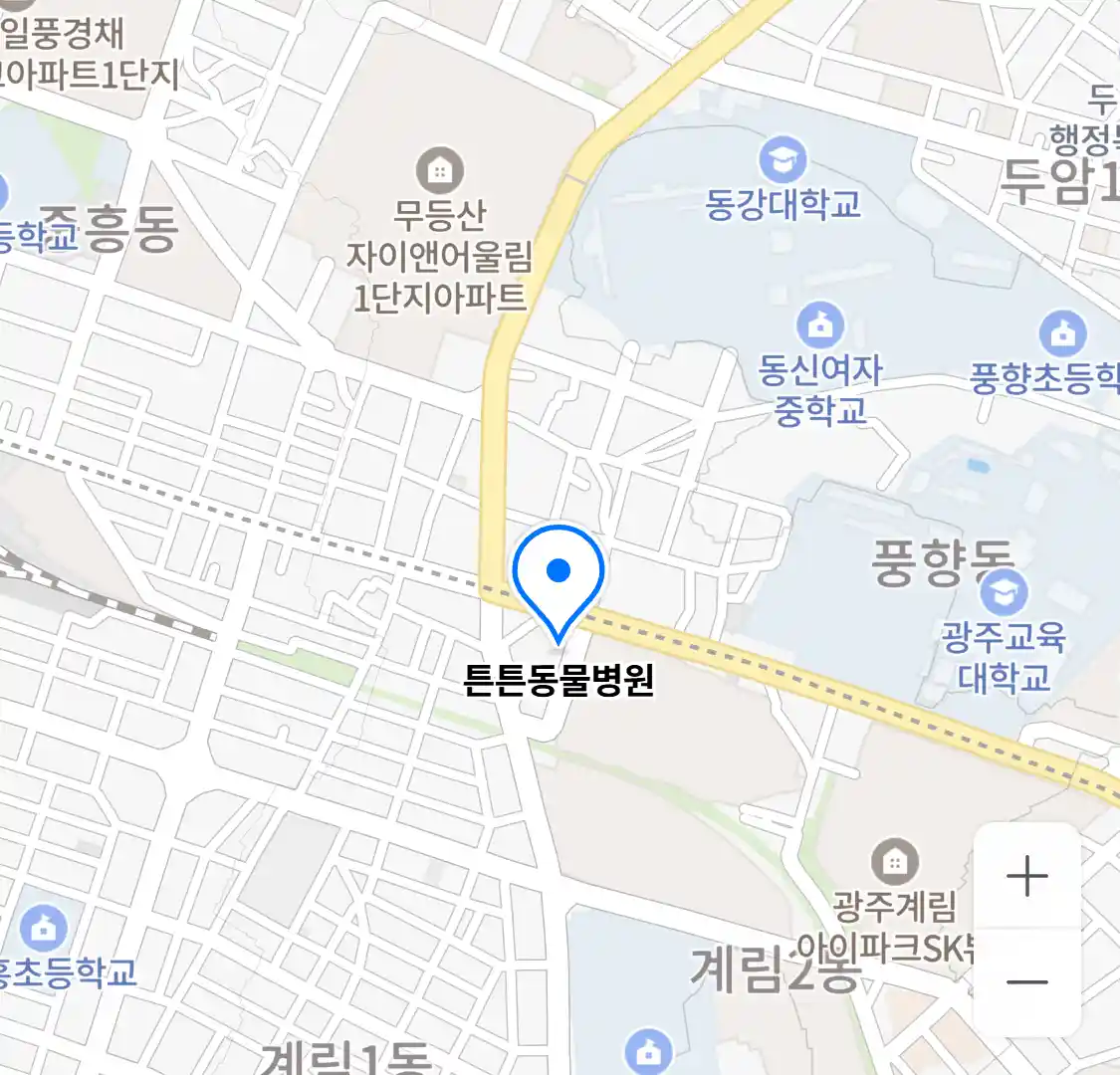 튼튼동물병원 위치