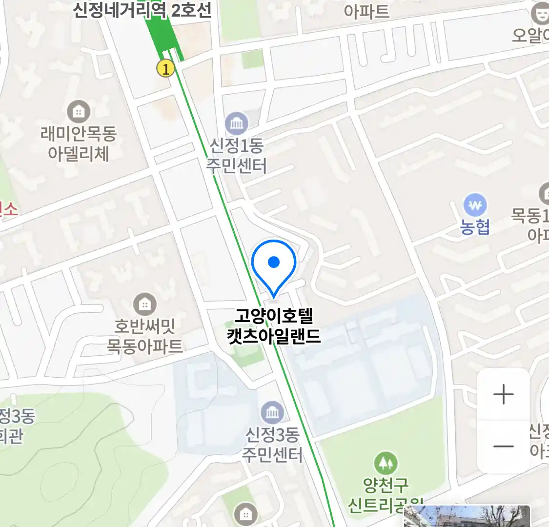 고양이호텔 캣츠아일랜드 위치