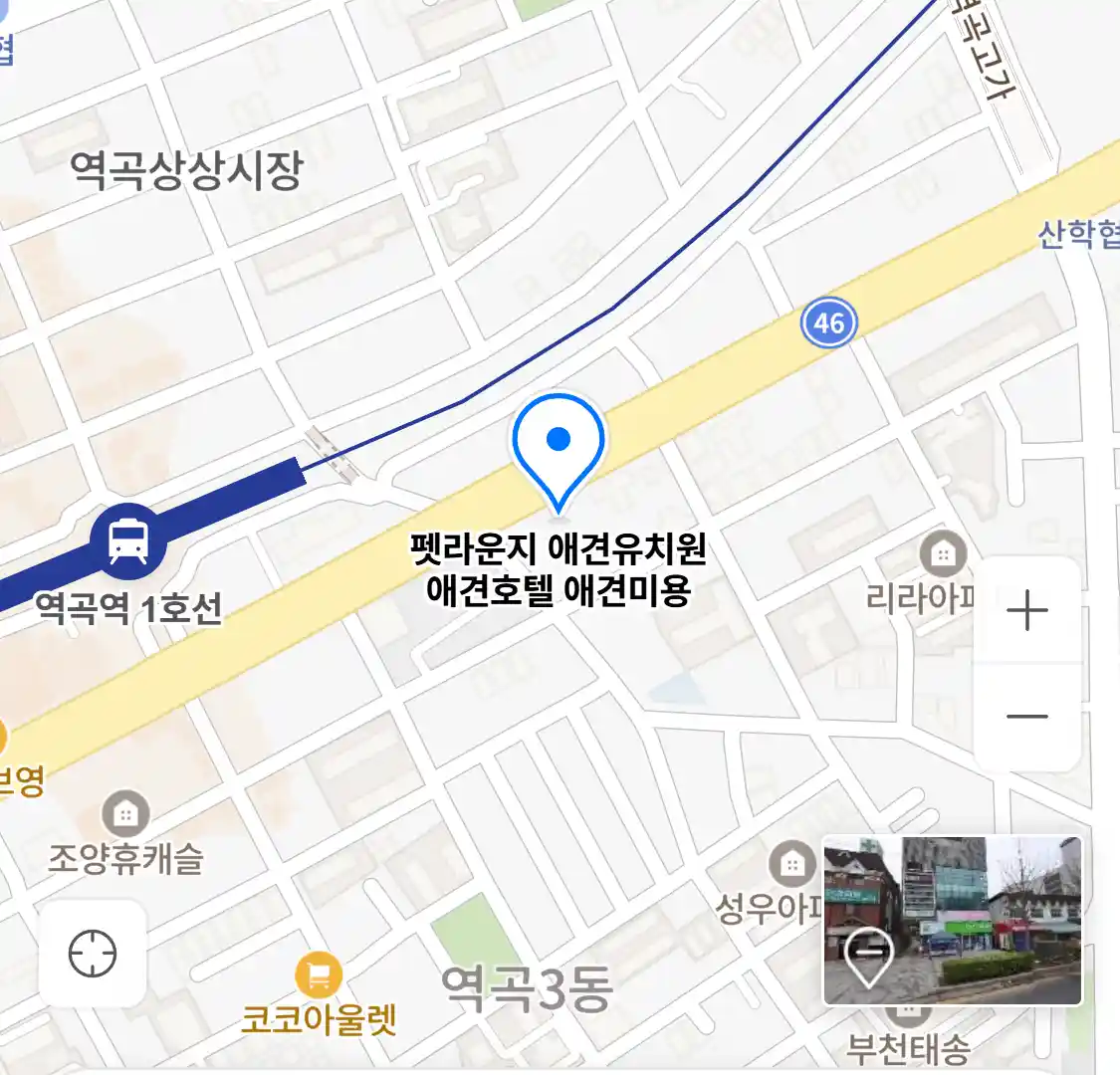 펫라운지 애견유치원 애견호텔 애견미용 위치