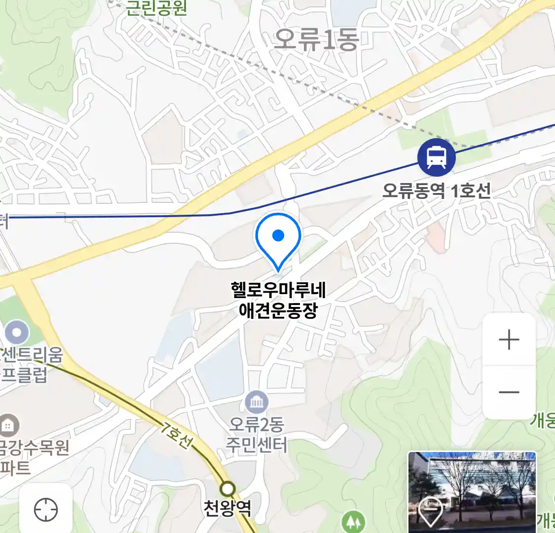 헬로우마루네 애견운동장 위치
