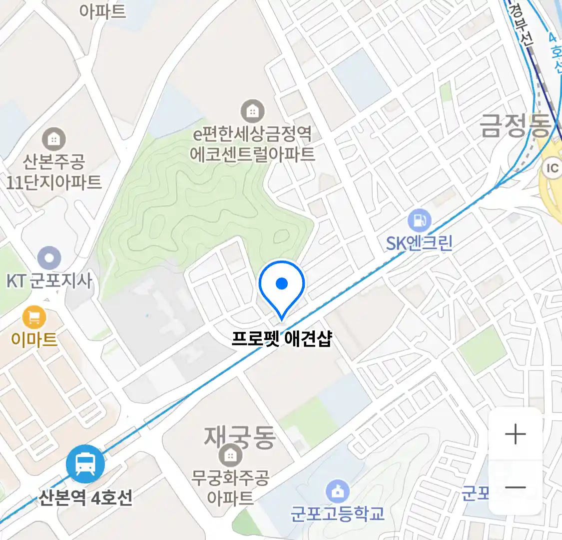 프로펫 애견샵 위치