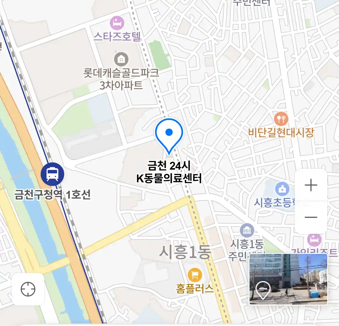금천 24시 K동물의료센터 위치