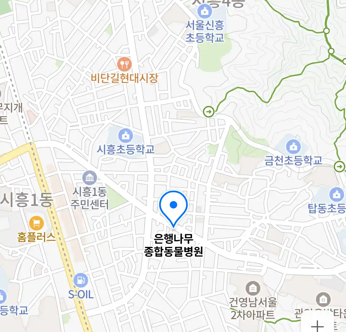 은행나무 종합동물병원 위치