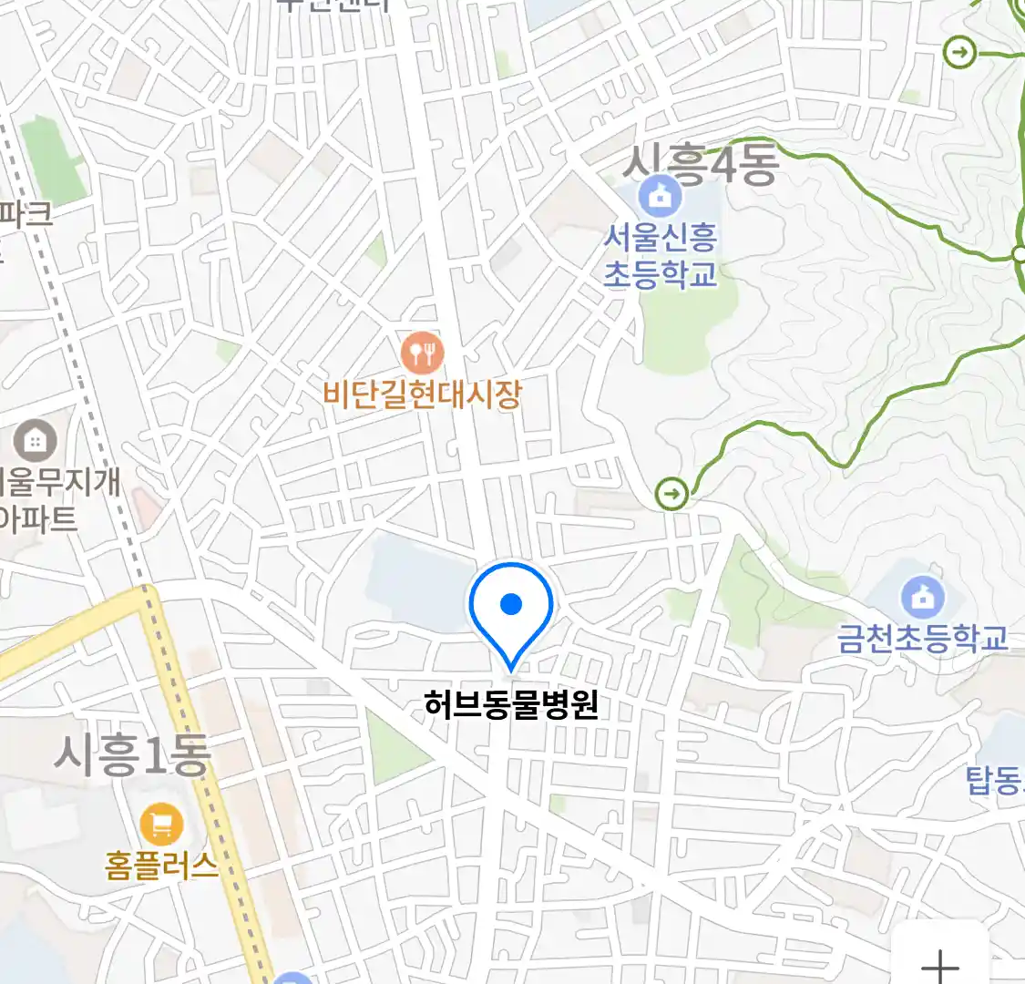 허브동물병원 위치