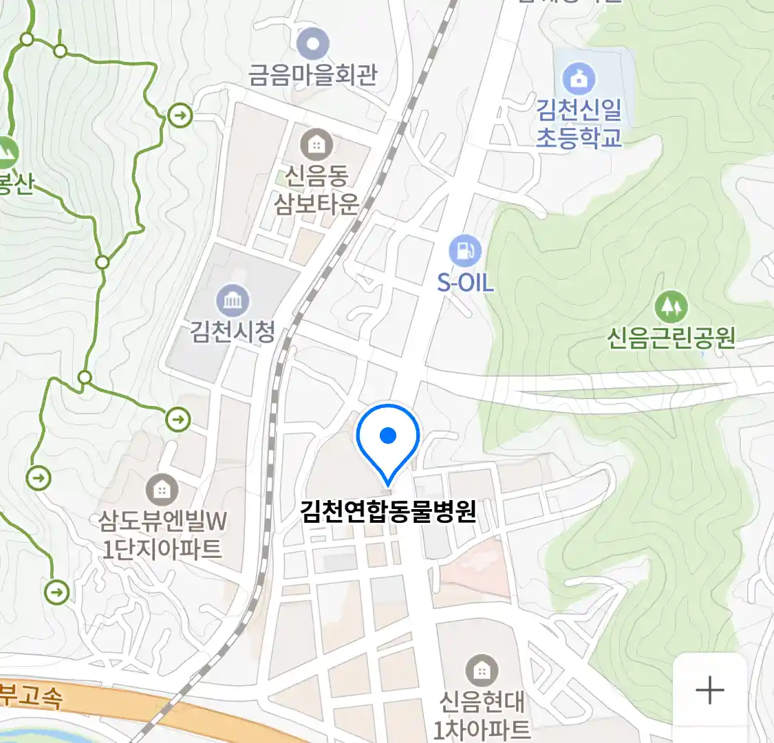 김천연합동물병원 위치
