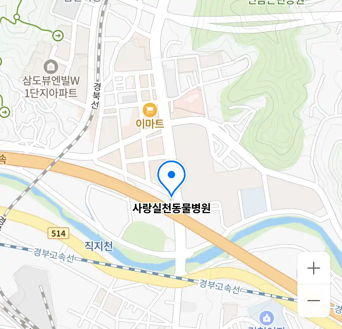 사랑실천동물병원 위치