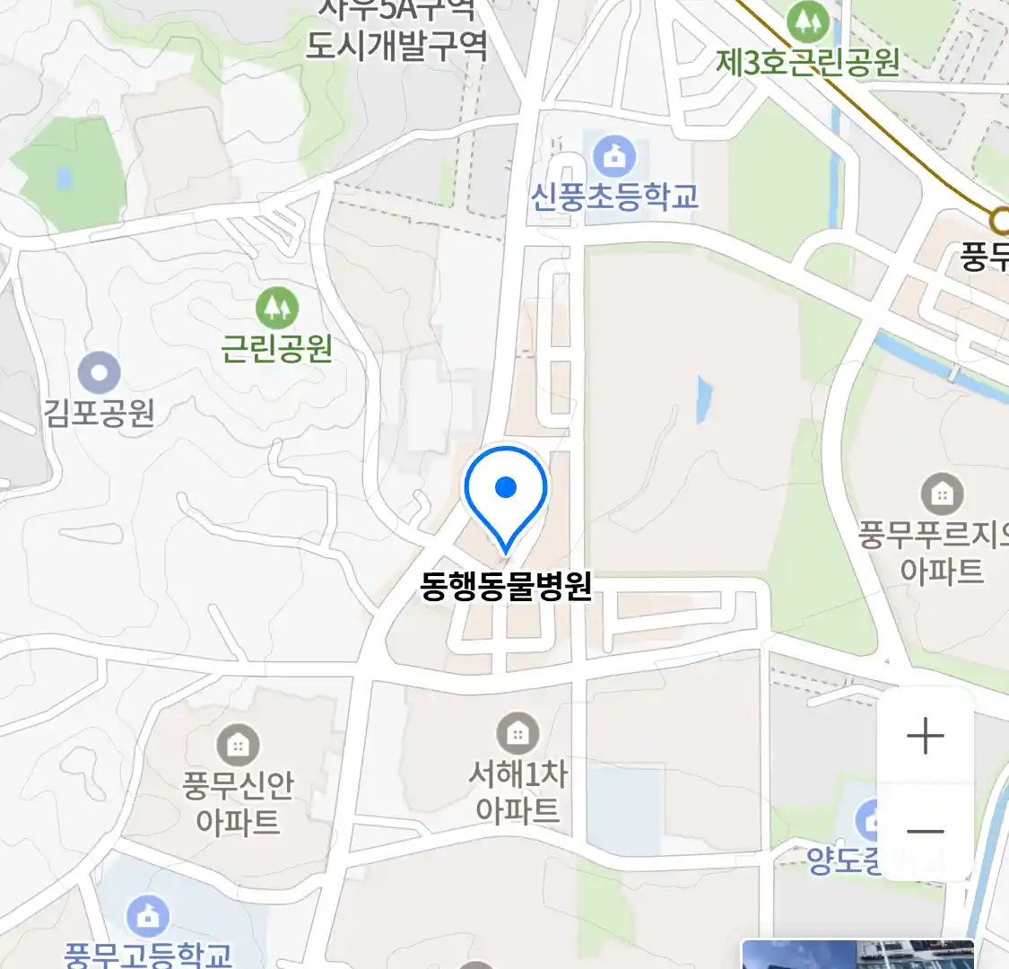 동행동물병원 위치