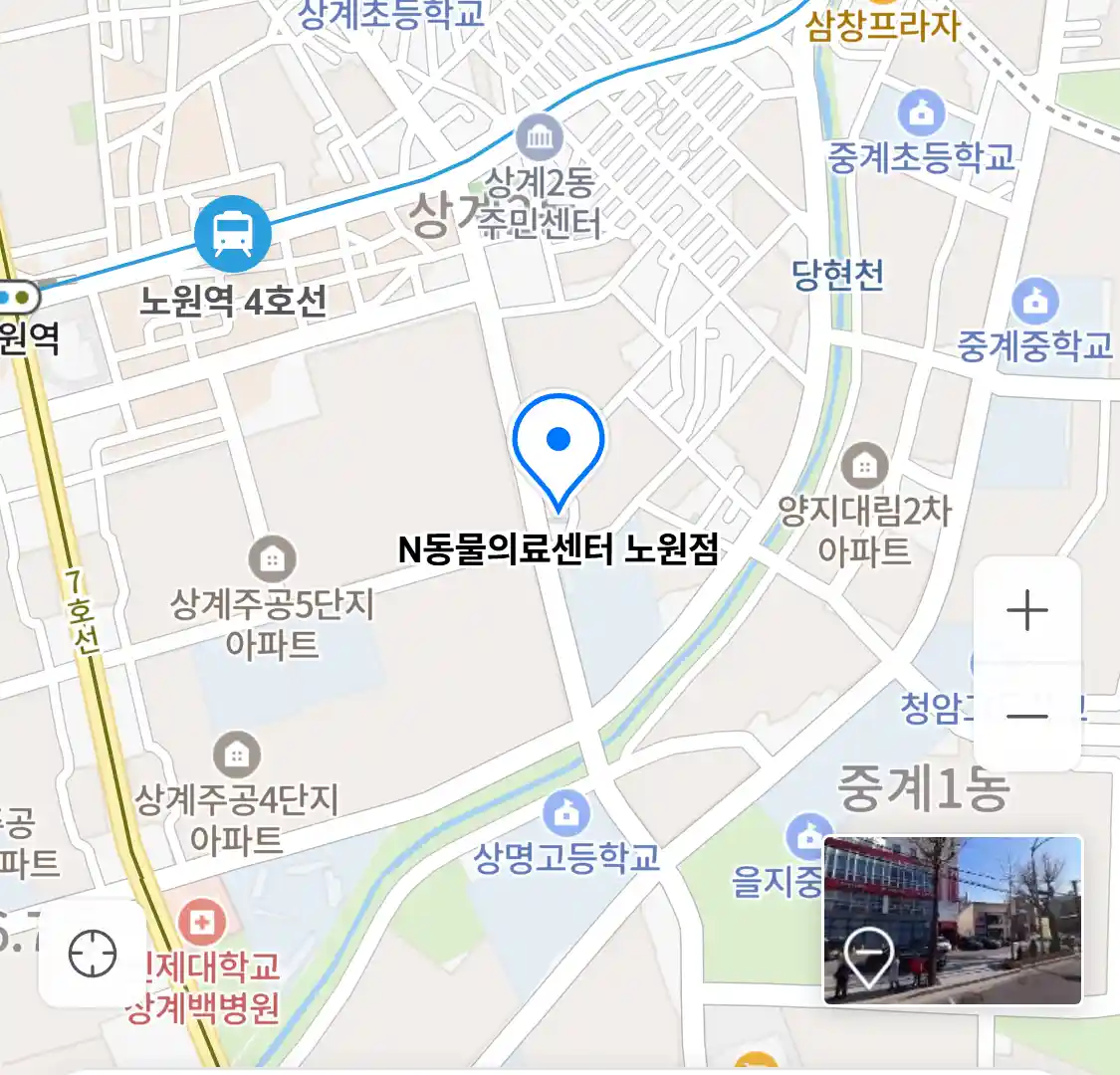 N동물의료센터 노원점 위치
