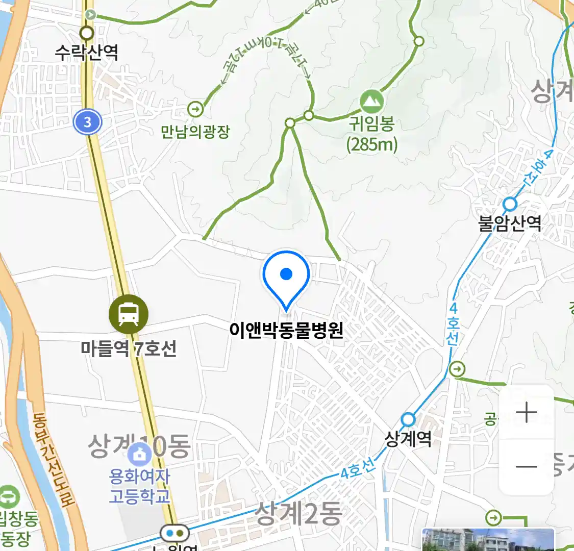 이앤박동물병원 위치