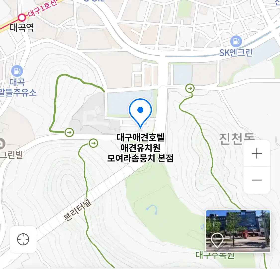 대구애견호텔 애견유치원 모여라솜뭉치 본점 위치