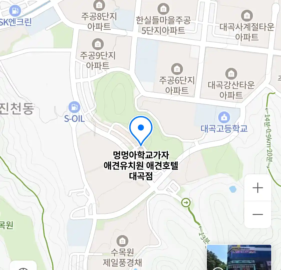 멍멍아학교가자 애견유치원 애견호텔 대곡점 위치