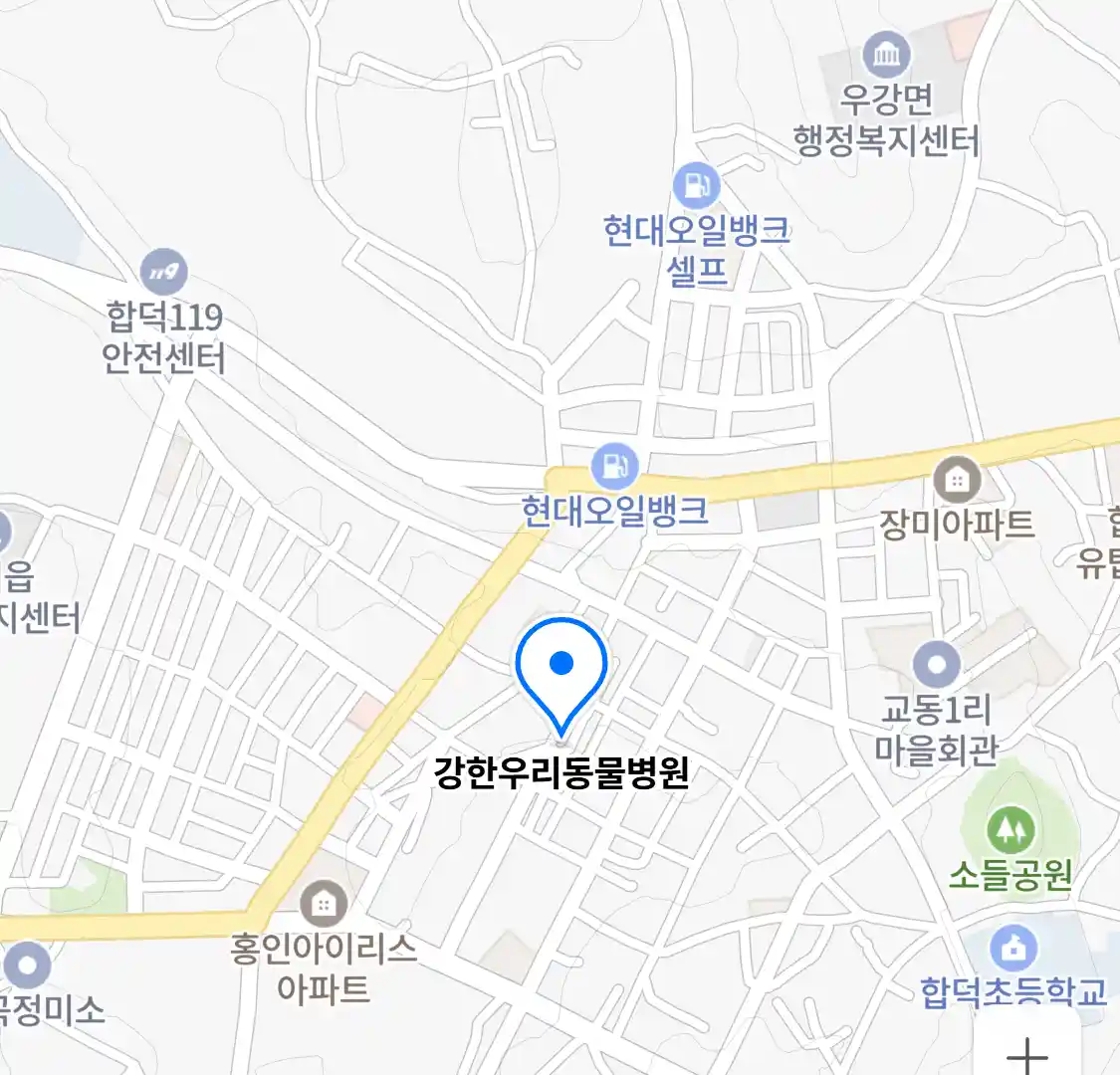 강한우리동물병원 위치