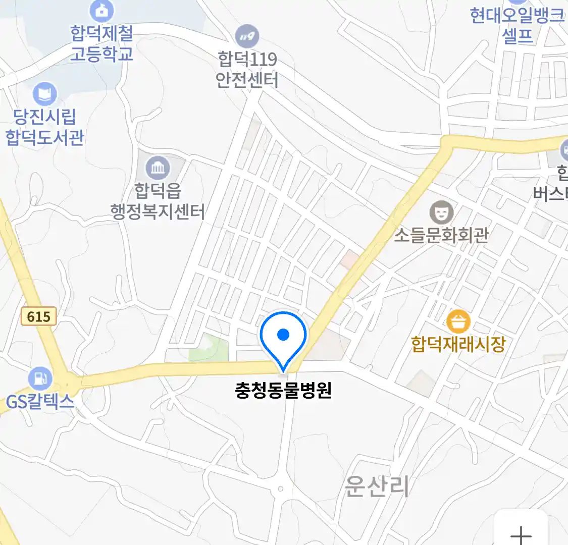 충청동물병원 위치