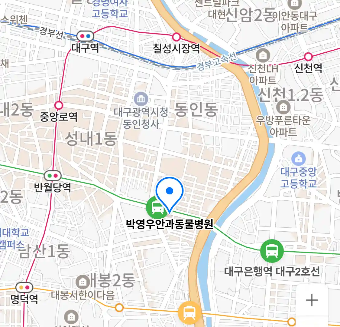 박영우안과동물병원 위치