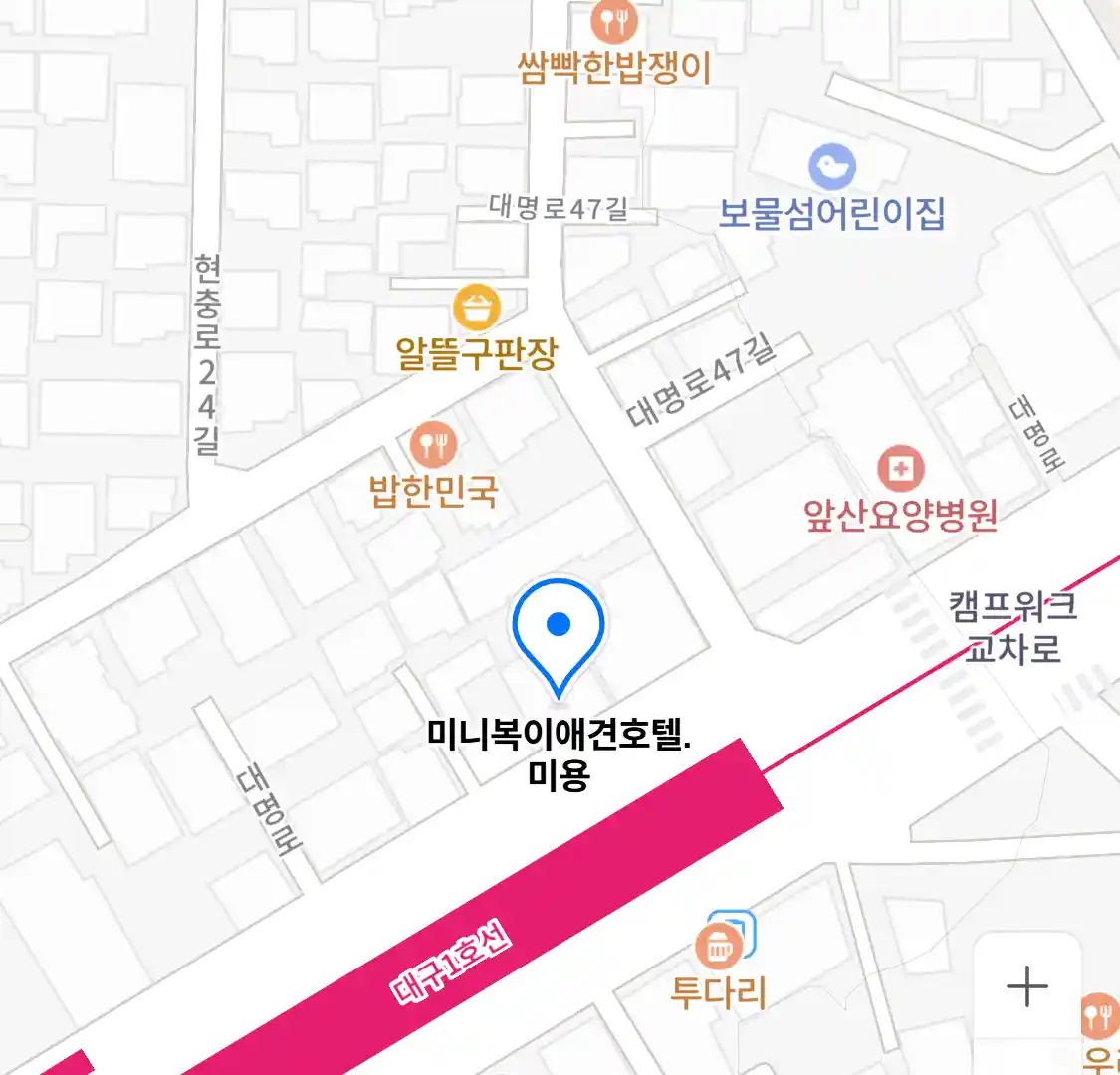 미니복이애견호텔.미용 위치