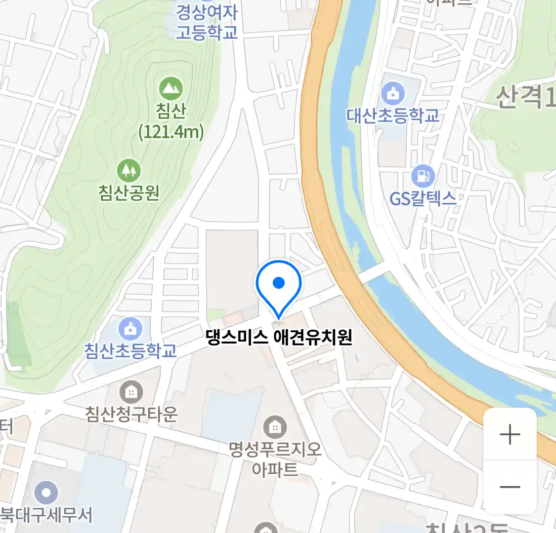 댕스미스 애견유치원 위치