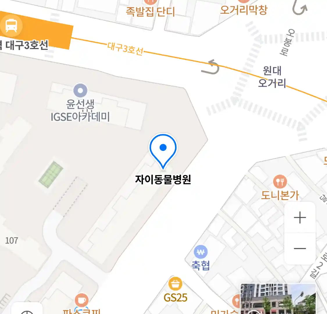 자이동물병원 위치