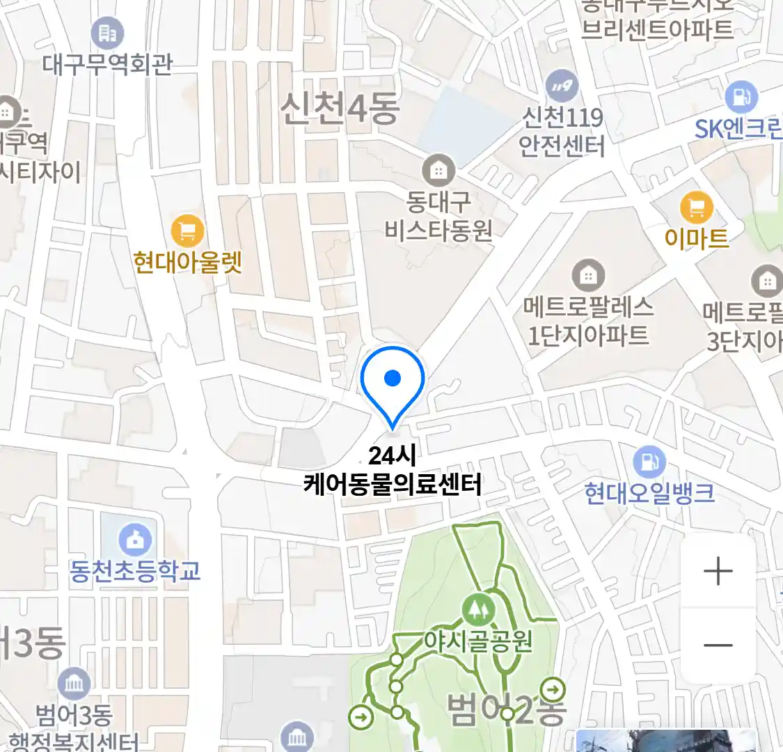24시 케어동물의료센터 위치