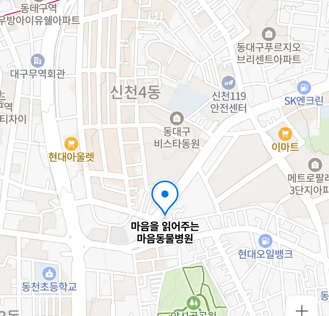 마음을 읽어주는 마음동물병원 위치