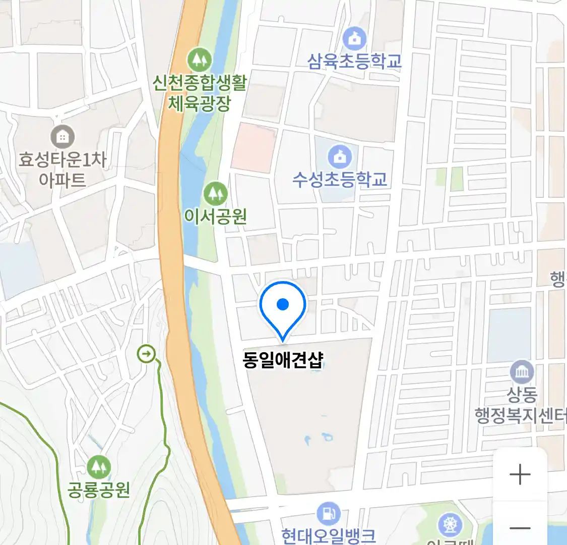 동일애견샵 위치