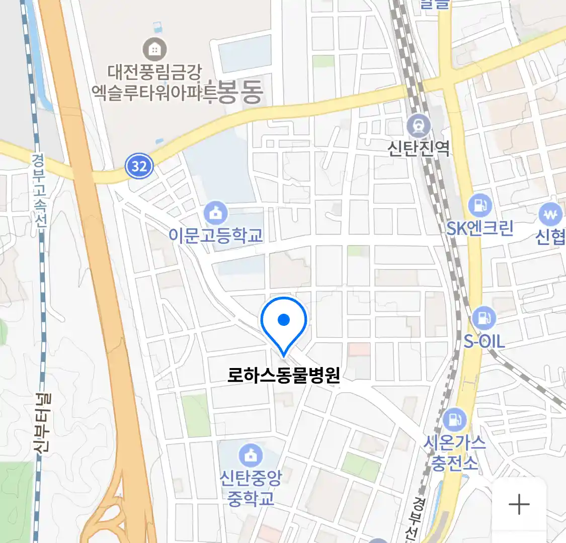 로하스동물병원 위치