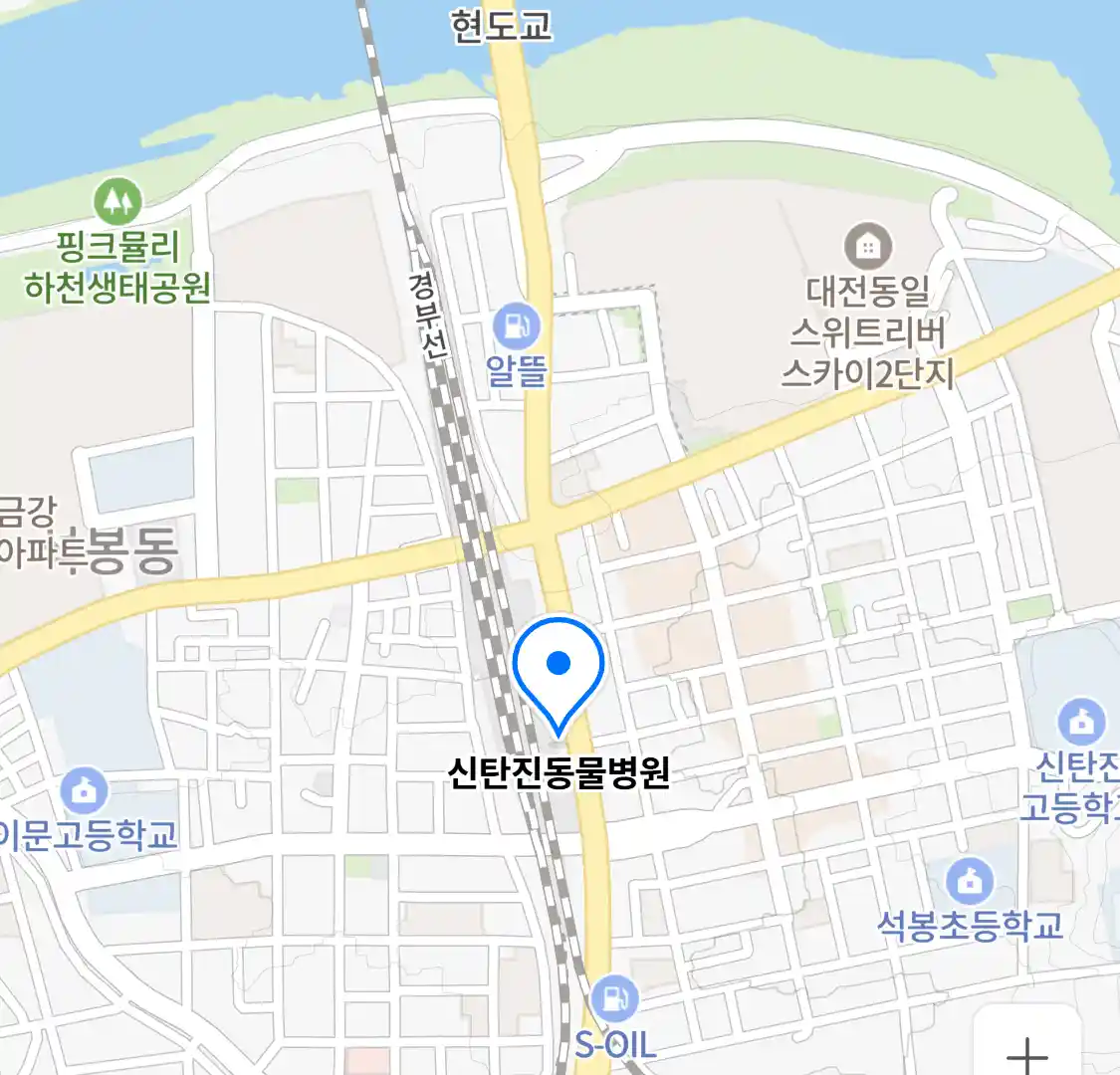 신탄진동물병원 위치