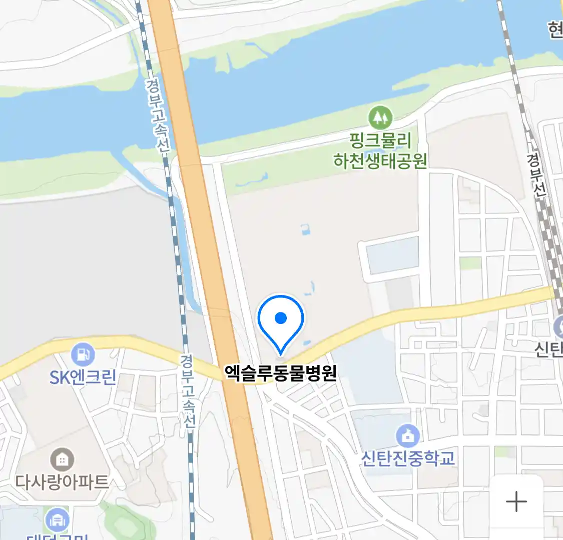 엑슬루동물병원 위치