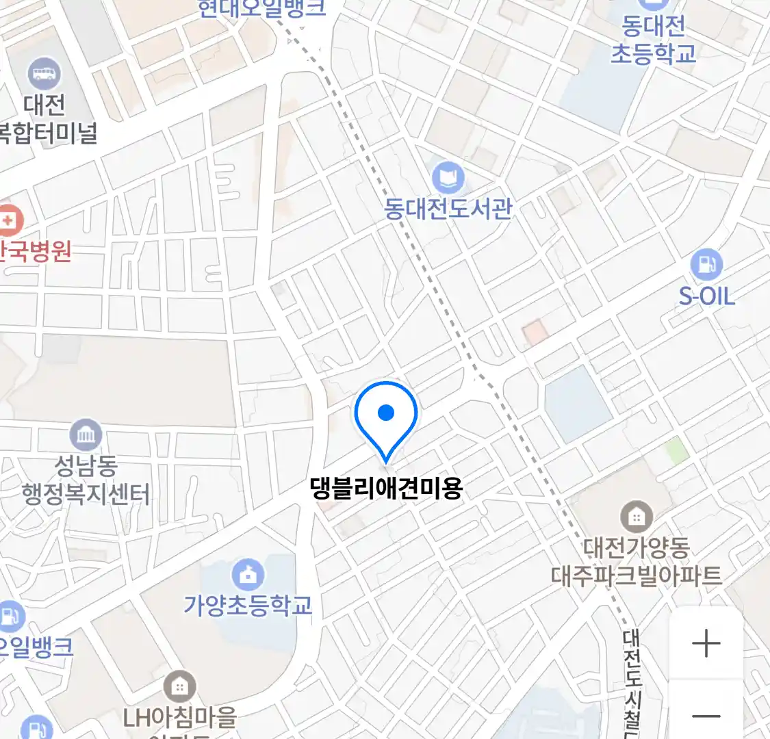댕블리애견미용 위치