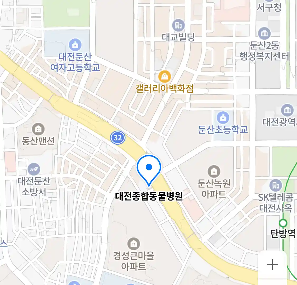 대전종합동물병원 위치