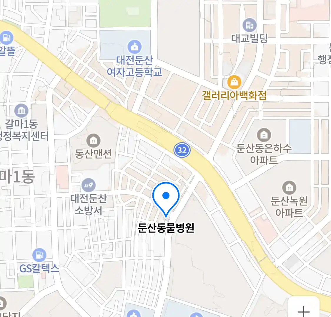 둔산동물병원 위치