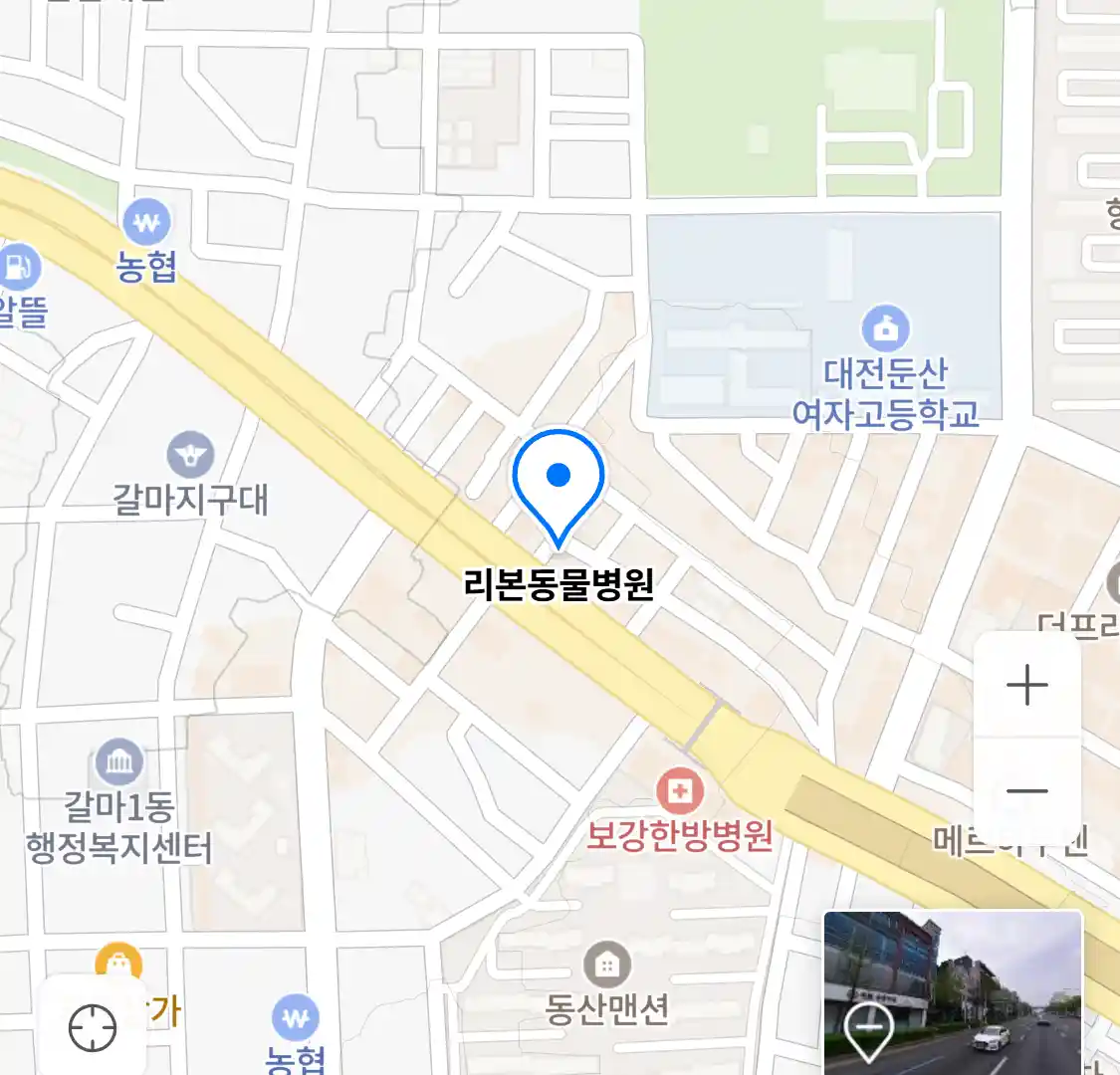 리본동물병원 위치