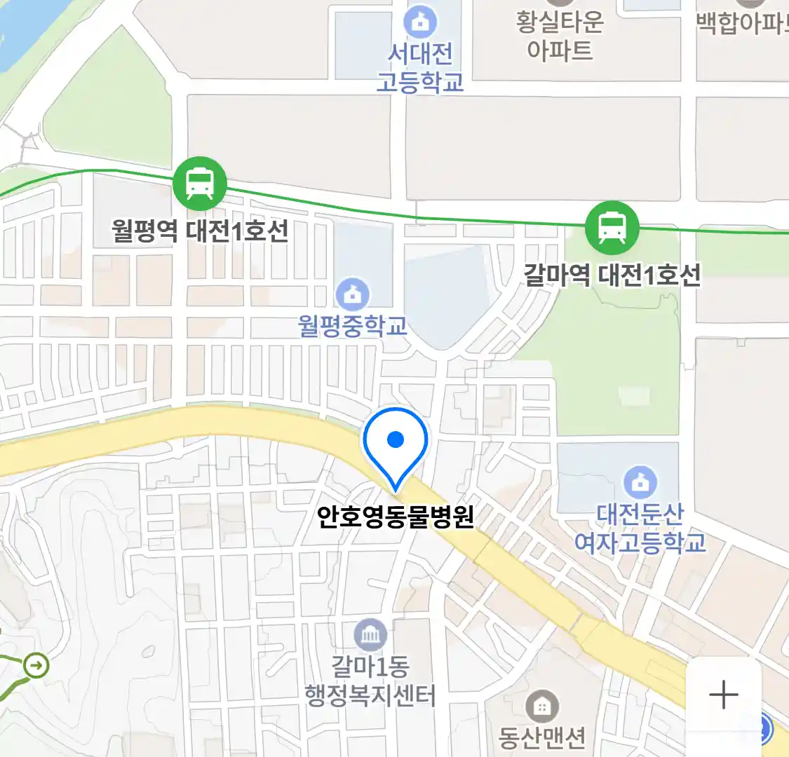 안호영동물병원 위치