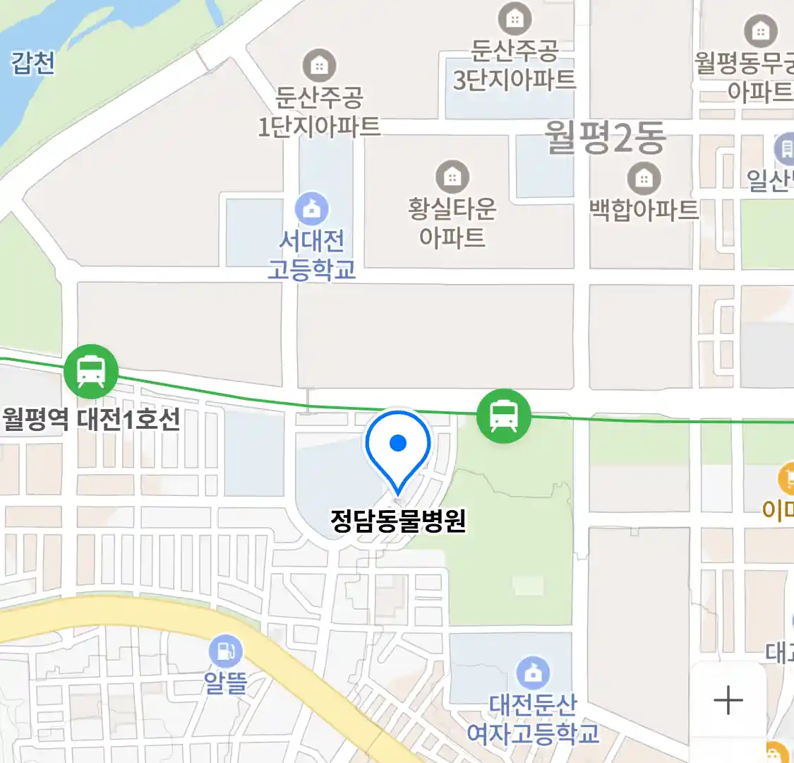 정담동물병원 위치