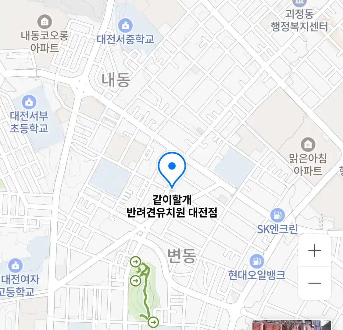 같이할개 반려견유치원 대전점 위치