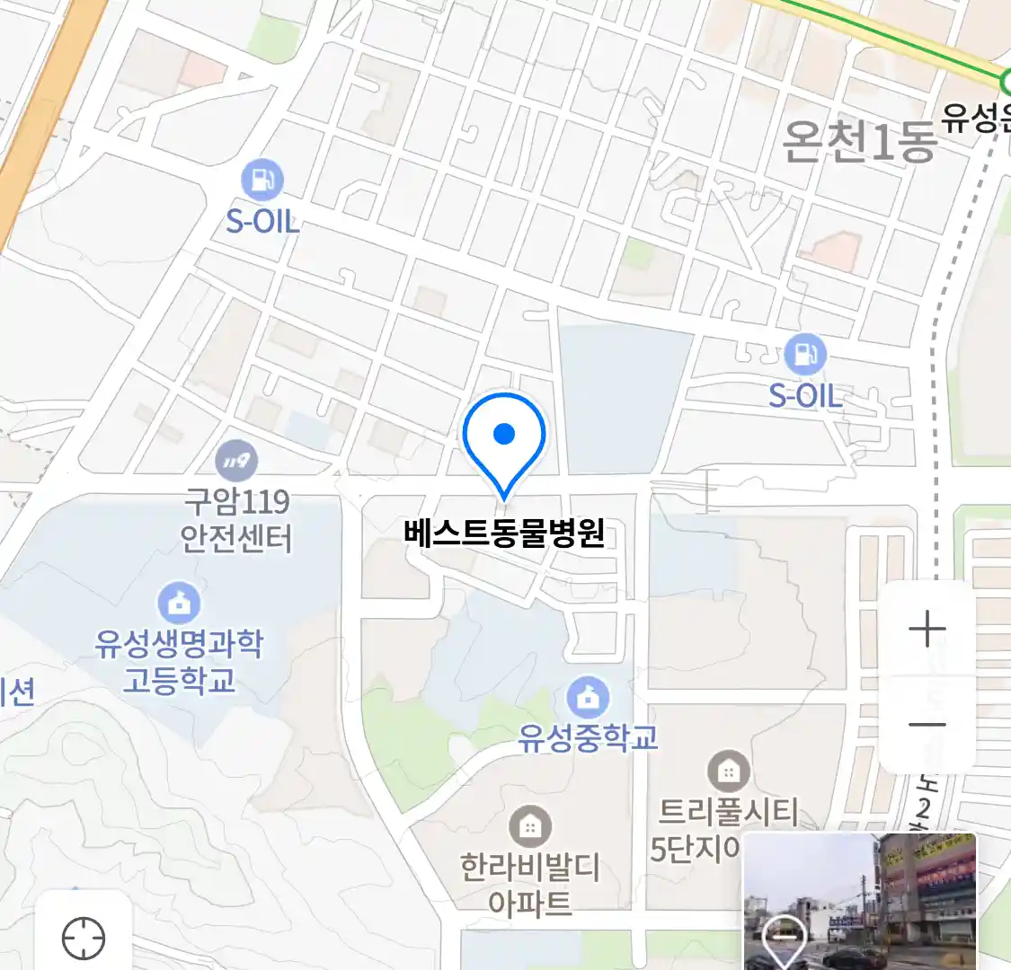 베스트동물병원 위치