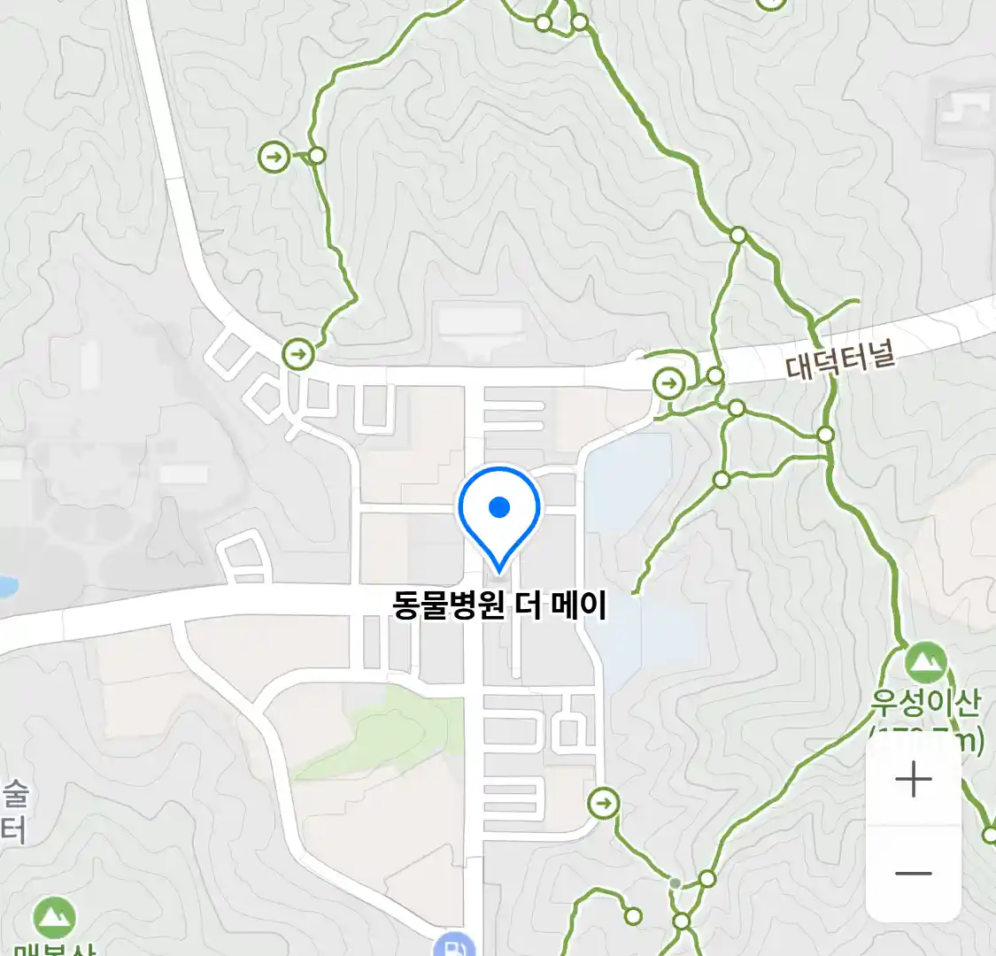 동물병원 더 메이 위치