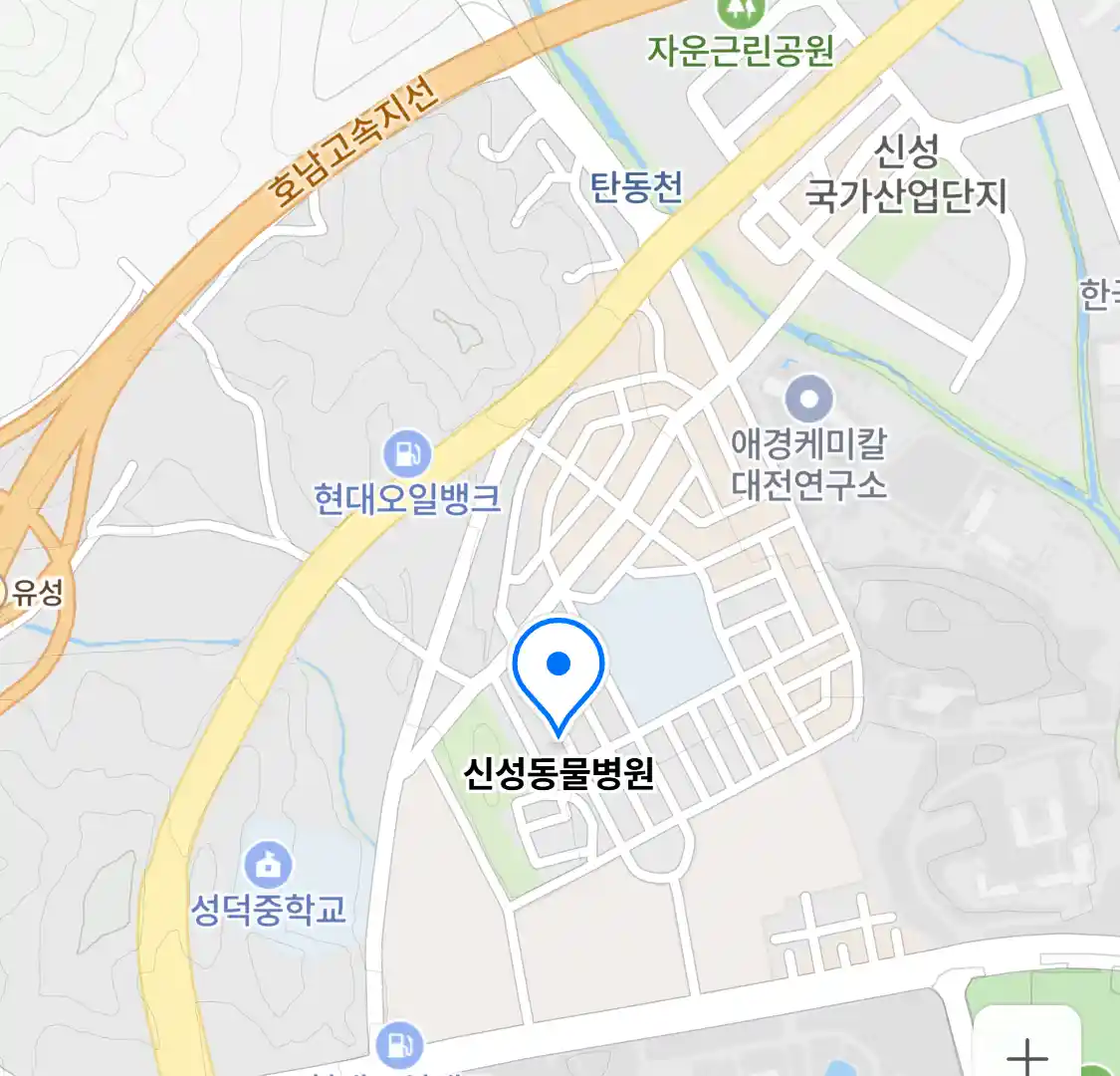 신성동물병원 위치