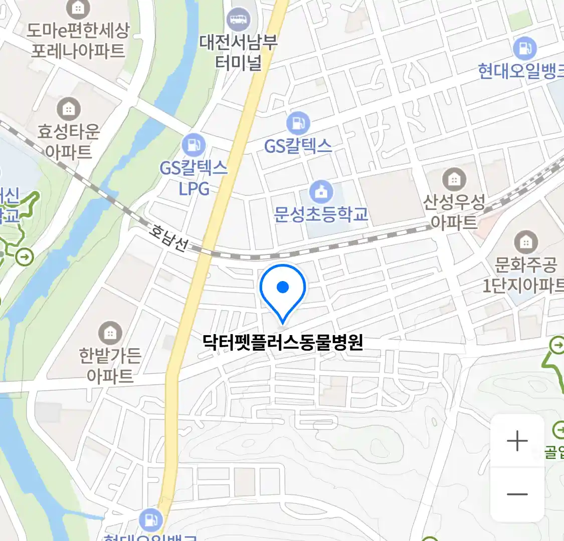 닥터펫플러스동물병원 위치