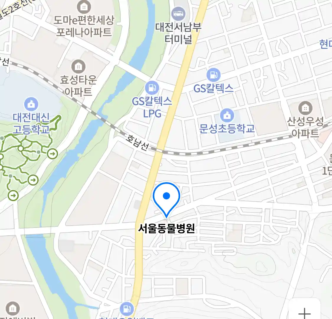 서울동물병원 위치