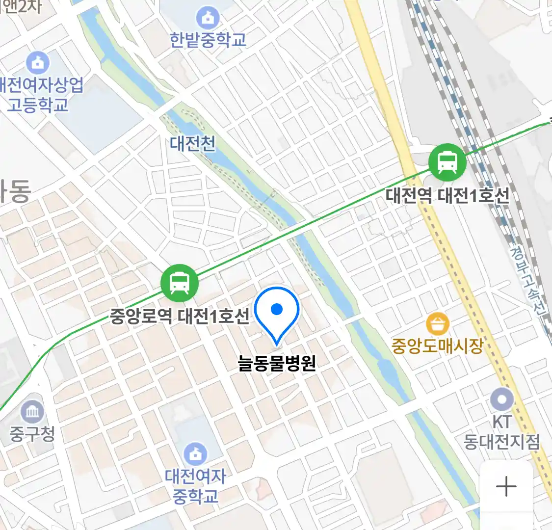 늘동물병원 위치