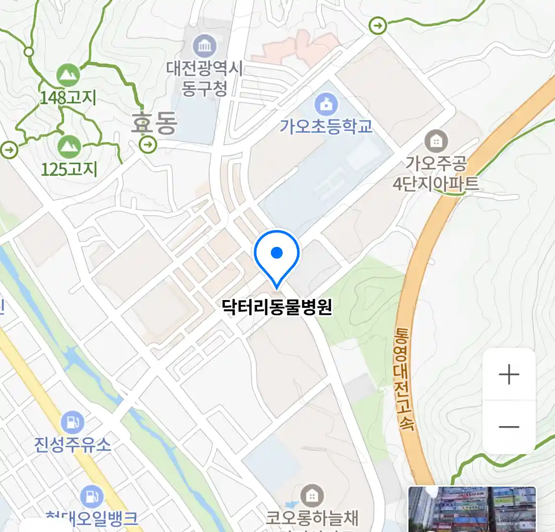 닥터리동물병원 위치
