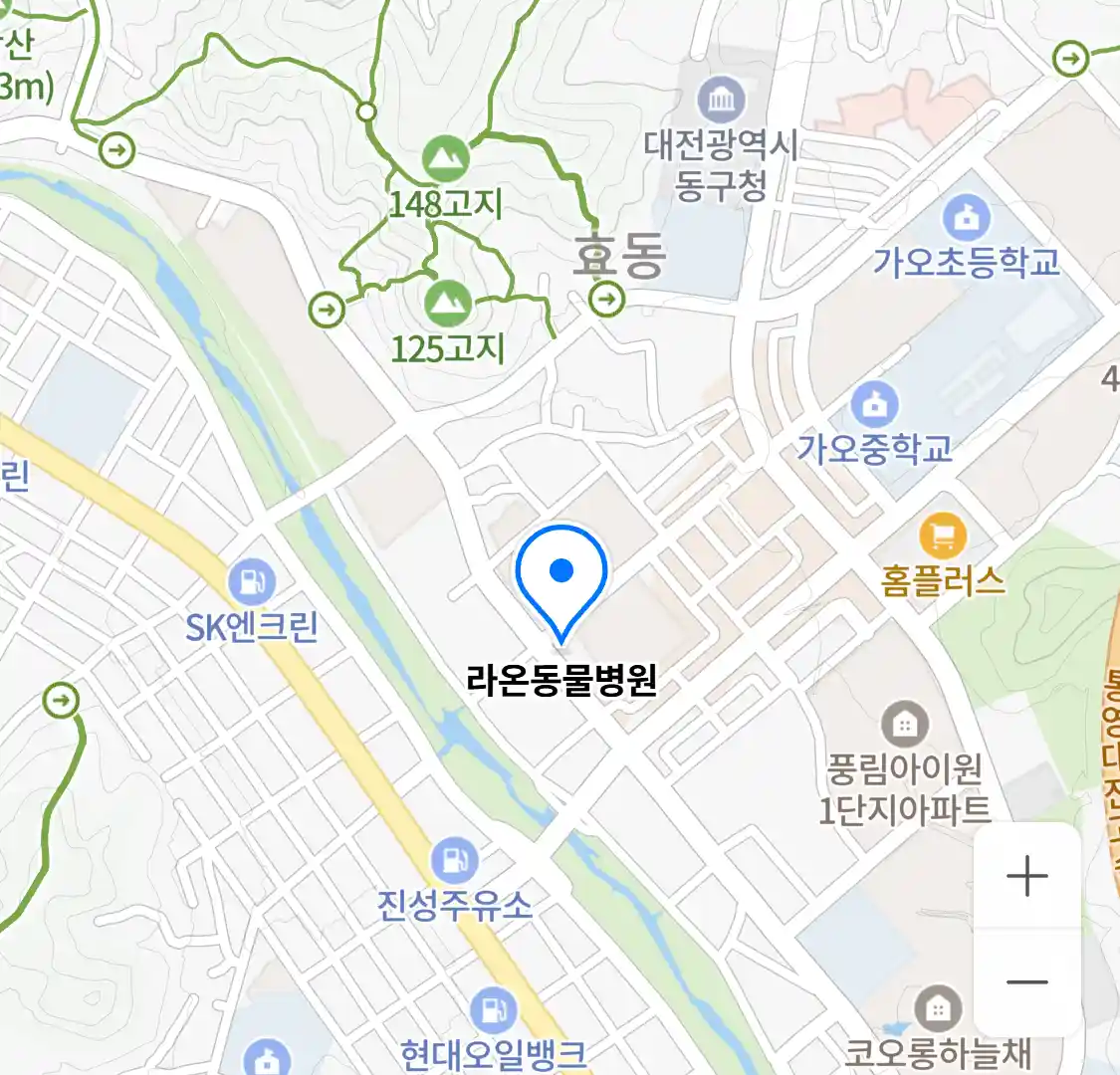 라온동물병원 위치
