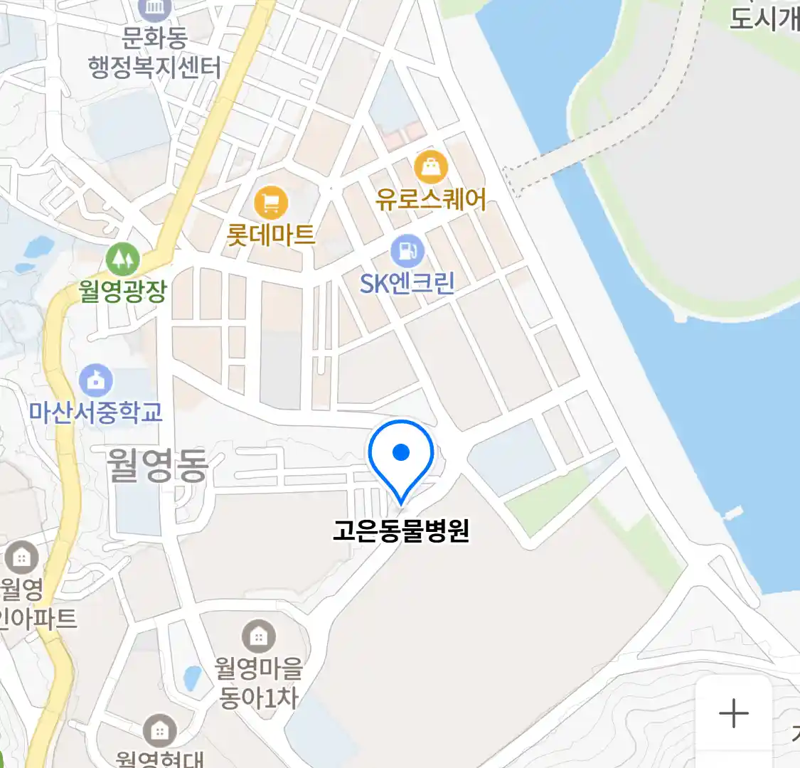 고은동물병원 위치