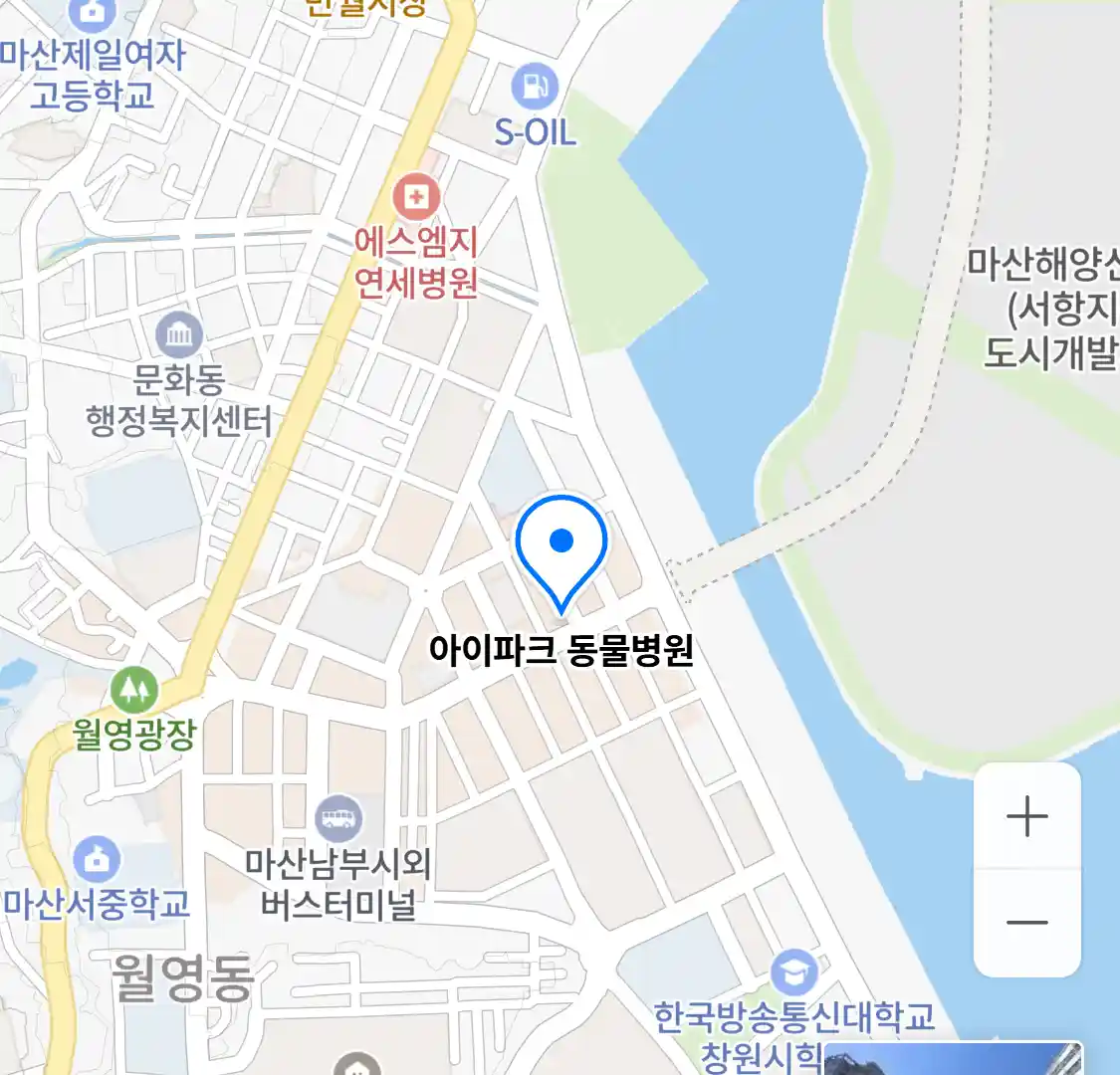 아이파크 동물병원 위치